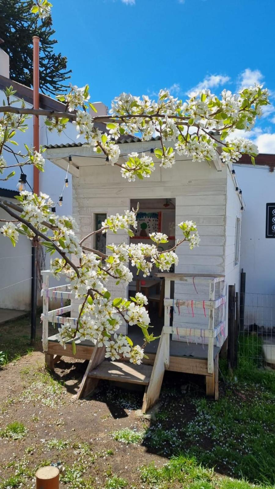 Hol Gok Patagonia Apartment Esquel Bagian luar foto
